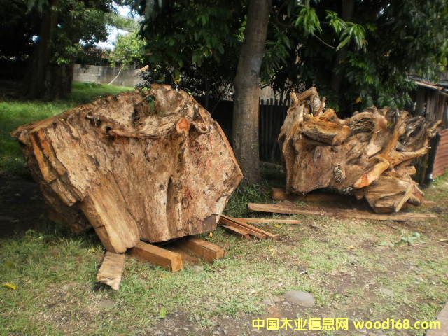 �{����(sh��) Narra ����̴����Ԕ��(x��)��B