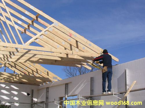 ������hɽ�|���_(d��)ľ�I(y��)���޹�˾�g���Æΰ�ӷe��LVL��ľ��Ԕ��(x��)��B