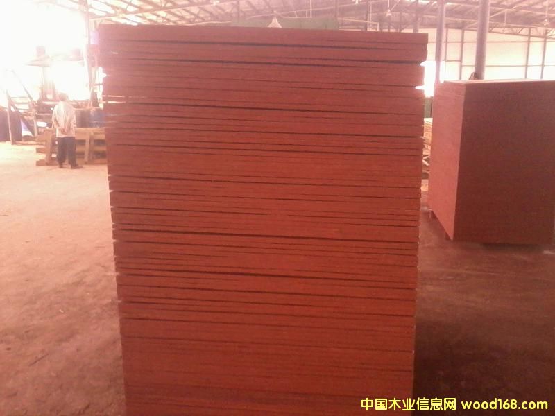 ģ���Ԕ��(x��)��B