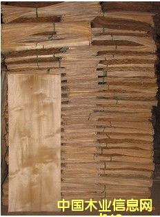 ��ľ�ΰ��Ԕ��(x��)��B