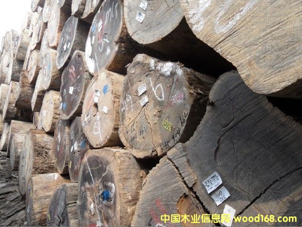 �T���Ԕ����B