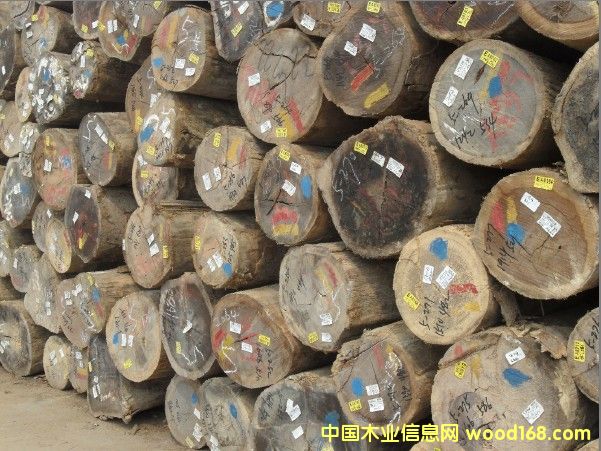 ����(y��ng) �R�������T�񣨿���˹��ԭľ��Ԕ����B