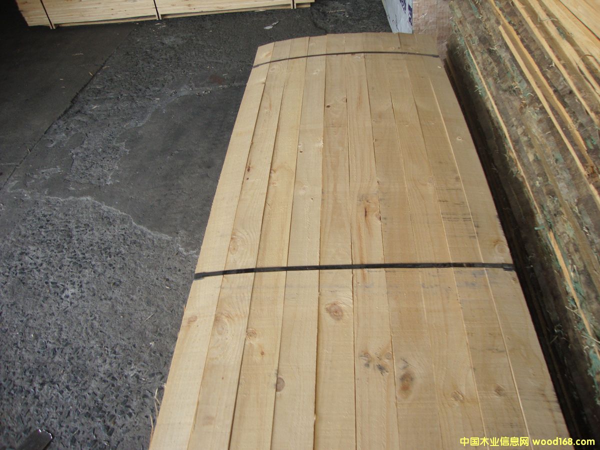 �M��ݗ���� ���1.1cmë�� 