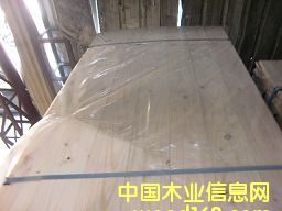 �����m�������M��ݗ����