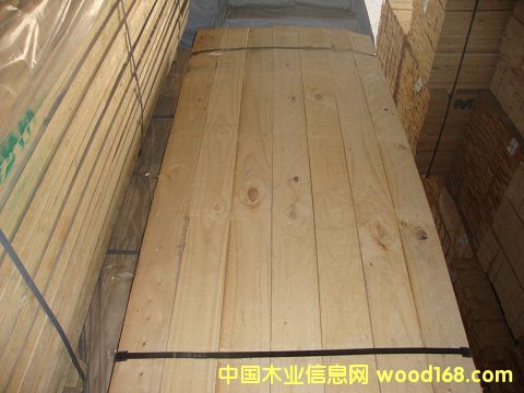 �M(j��n)��ݗ���� ���1.9cm�ٹ�� 