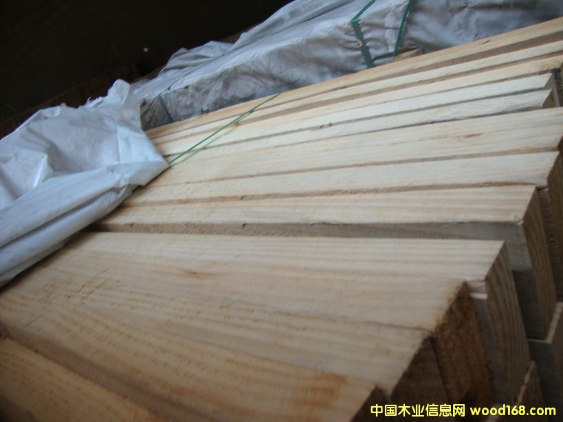 �M��ݗ���� ���5.5cmë�� 