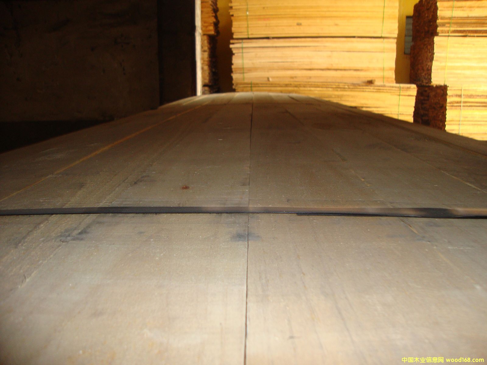 �M��ݗ���� ���1.6cmë�� 