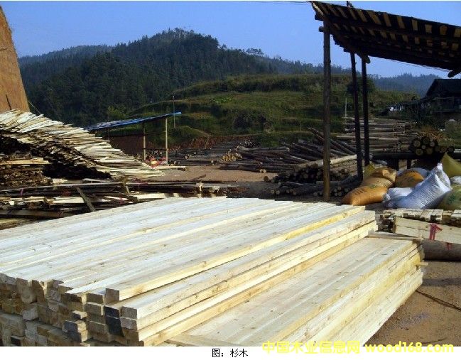 ���l(f��)�������l����ľ����Ԕ����B