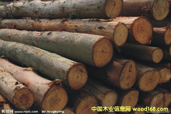 �sľ��Ԕ����B