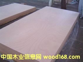 ������(y��u)�|E1���ߙn�Ҿ߶��Ӱ�