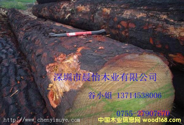 �����m��