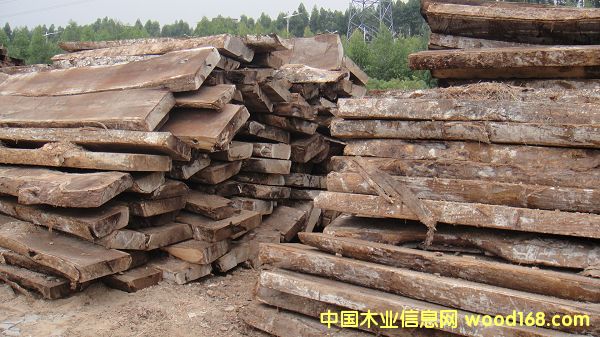 �u��ľ��ĵ�Ԕ����B