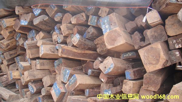 �ϓ�t��֦��Ԕ����B