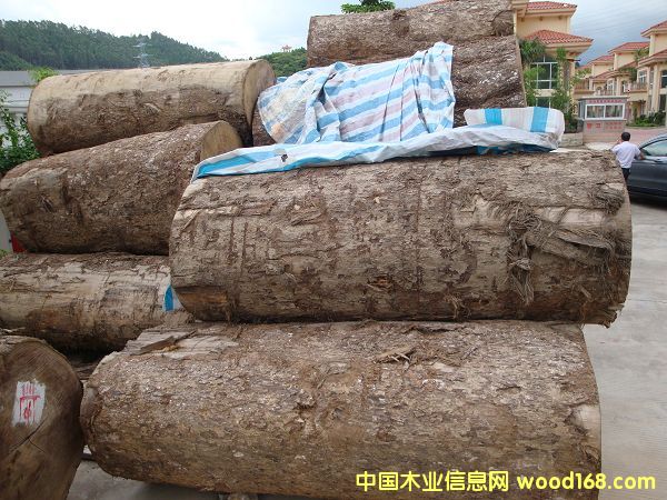 �����z��ľ��Ԕ����B