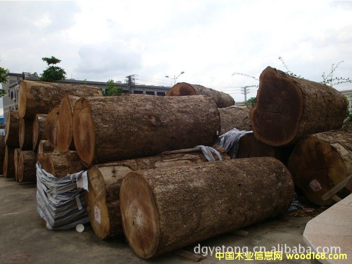 �����z��1��Ԕ����B