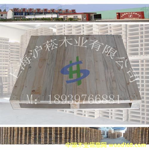 ��(sh��)ľ�M���бP(p��n)��Ԕ��(x��)��B