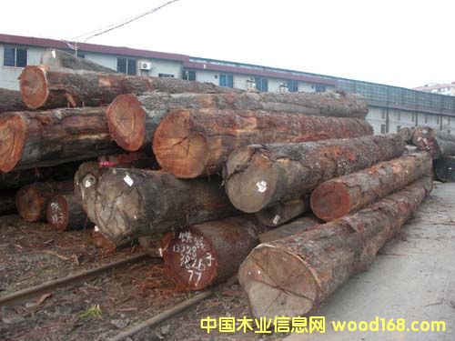 �F���ӵ�Ԕ��(x��)��B