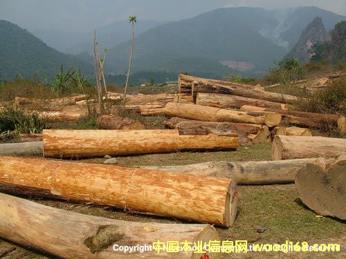 �uľ1��Ԕ��(x��)��B