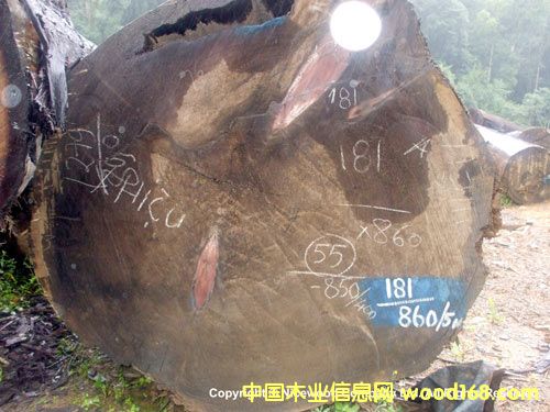 ɼľ��Ԕ��(x��)��B