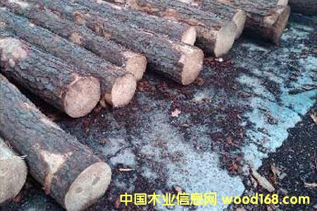 �S��ľԭ�ĵ�Ԕ��(x��)��B