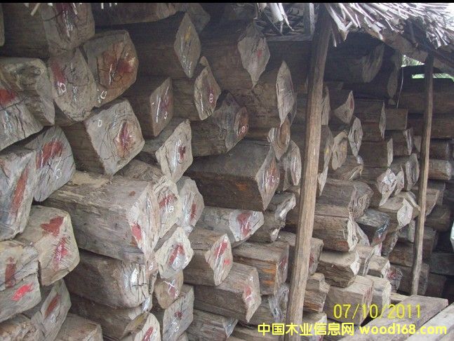 �R�_(d��)��˹���S̴������ɣ��������֦ ��Ԕ��(x��)��B