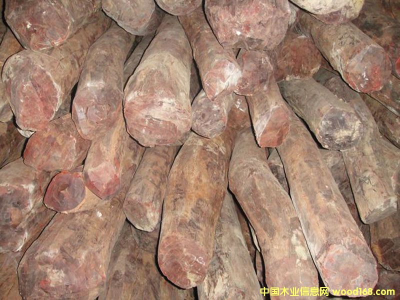 ӡ��С�~��̴��Ԕ����B