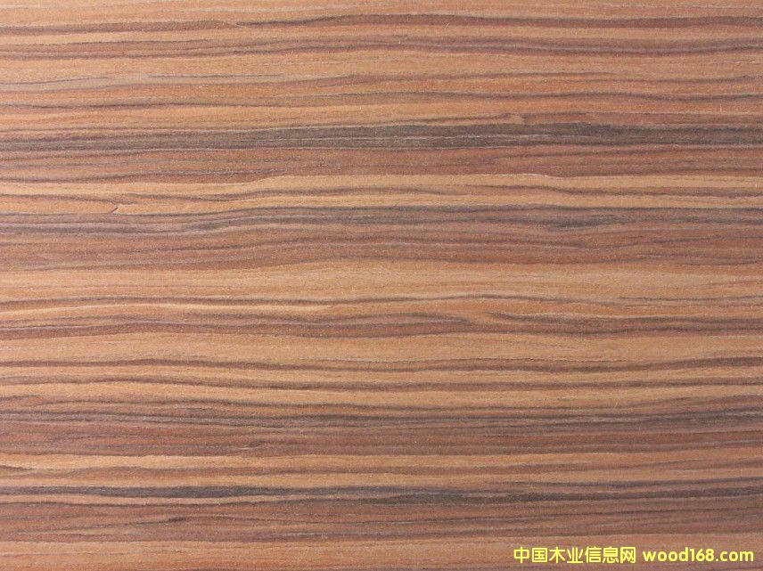 ������֦ľ�����Ԕ����B