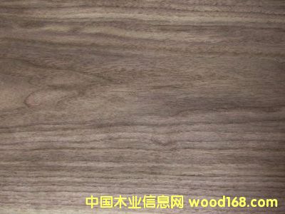 �ں���ľƤ��Ԕ��(x��)��B