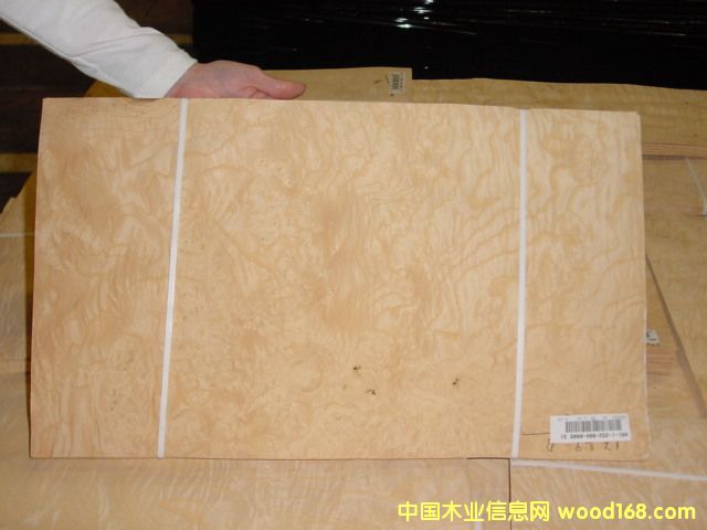 ��˨����