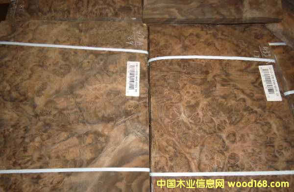 �ں��Ҙ���