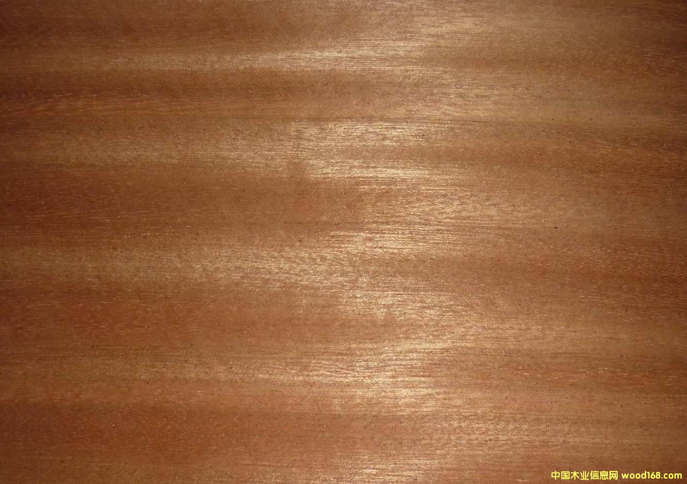 0.5�һ�оֱ�y��Ԕ����B