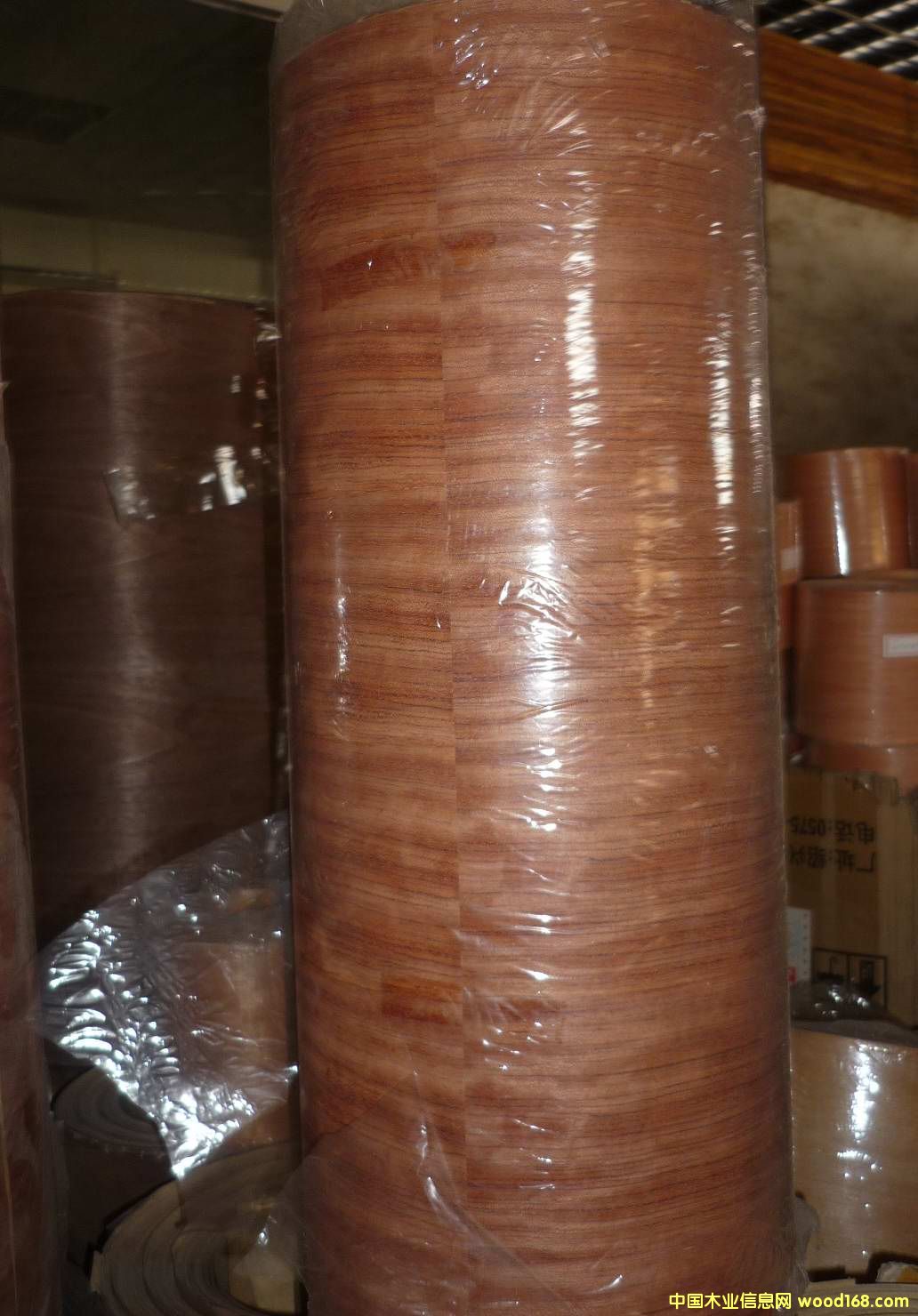 ����ţƤ����Ԕ����B