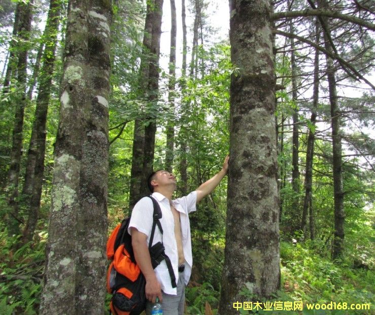 �Ĵ�ʡ�VԪ���ɘ�(sh��)��ˮ����11000����(sh��)���D(zhu��n)׌��Ԕ��(x��)��B