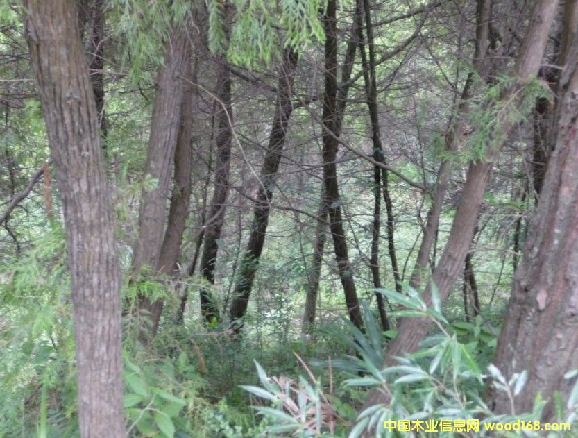 �Ĵ�ʡ�VԪ10000�஀�ɰػ콻�ֵص�Ԕ��(x��)��B