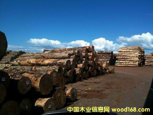 ݗ���ɵ�Ԕ��(x��)��B