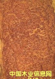 �Nޱ������Ԕ��(x��)��B