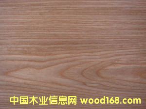 ���� 500C��Ԕ��(x��)��B