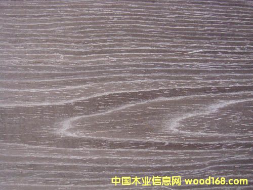 �Ƽ�ľƤ ����22C