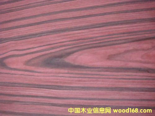 �W����֦ 802C