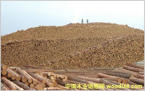 原木的詳細(xì)介紹