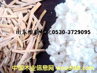 ���ݝ{Ư�׈DƬ