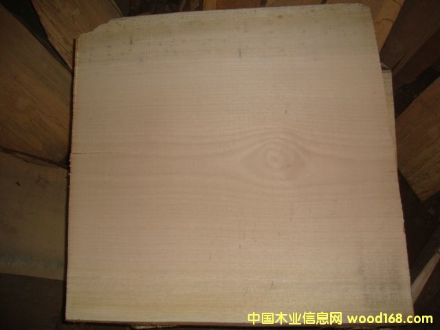 �ٹ�Ęӱ���Ԕ��(x��)��B