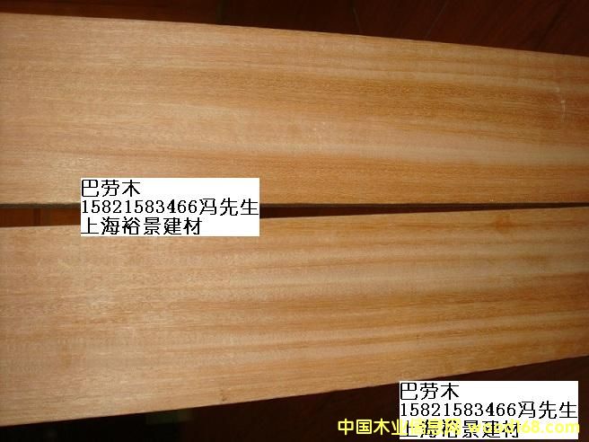 �̈́�ľ��Ԕ��(x��)��B