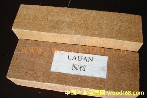 ����ľ��Ԕ��(x��)��B