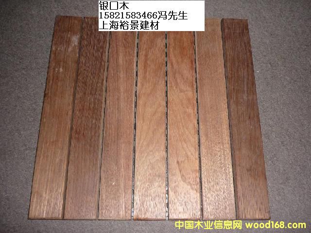 �y��ľ��Ԕ��(x��)��B