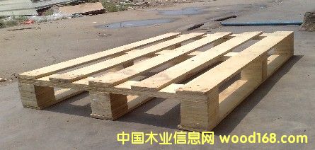 ���ƅ^(q��)�����бP��Ԕ��(x��)��B