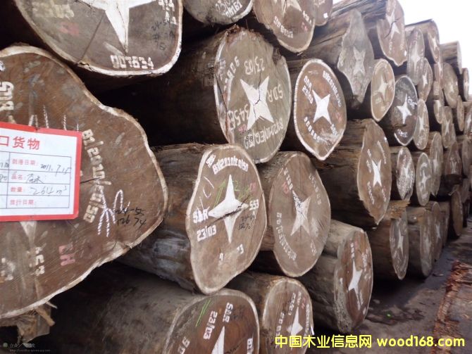 ��ľ����Ԕ����B