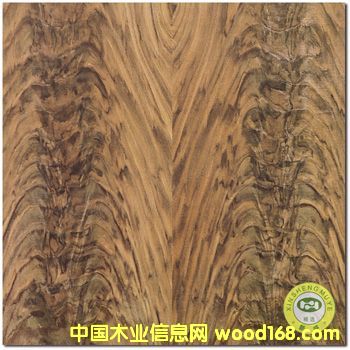 ���V��ʢ����Ȼ�ں��Ҳ�ľƤ����z�ϰ��Ԕ��(x��)��B