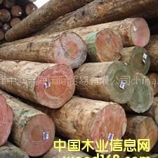 ���l(f��)��(y��u)�|(zh��)�M(j��n)�ڟo��(ji��)��ݗ����ԭľ