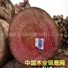 ���l(f��)�M(j��n)�ڃ�(y��u)�|(zh��)��ݗ����ԭľ